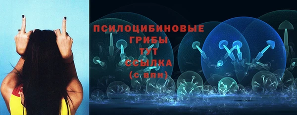 трава Абинск